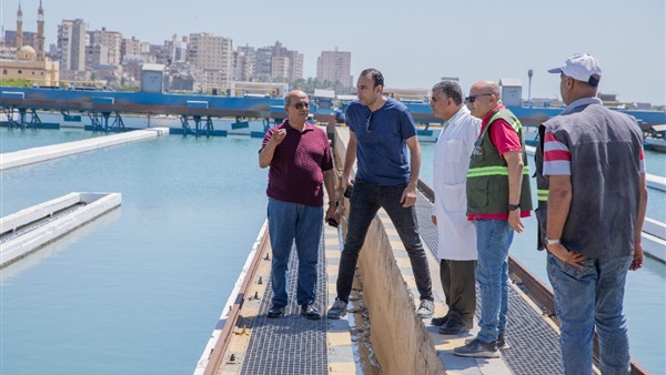 صدى العرب