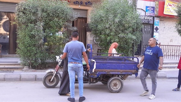 صدى العرب