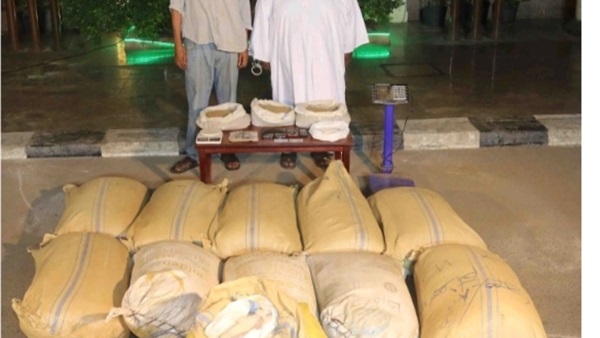 صدى العرب