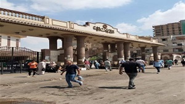 صدى العرب