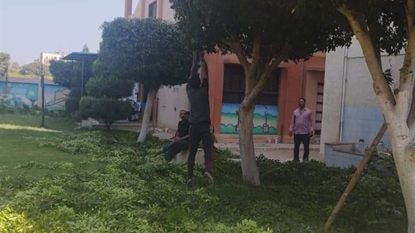 صدى العرب