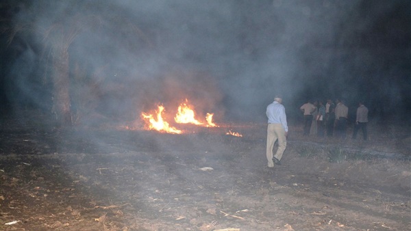 صدى العرب