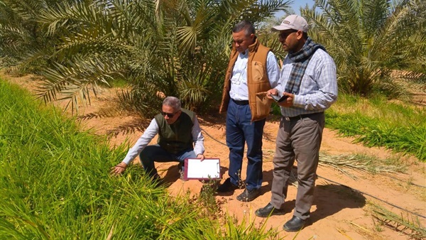 صدى العرب