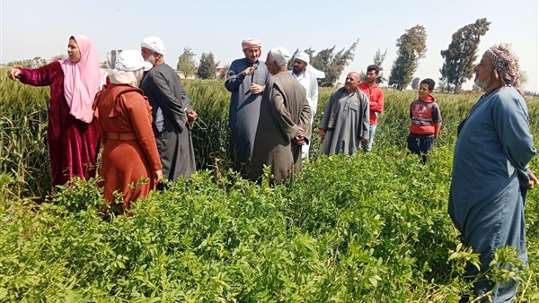 صدى العرب