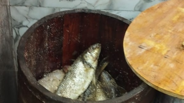 صدى العرب