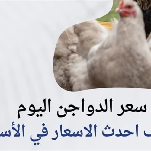 صدى العرب: تراجع الطلب وراء انخفاض اسعار الدواجن بأسواق جنوب سيناء