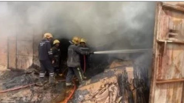 صدى العرب