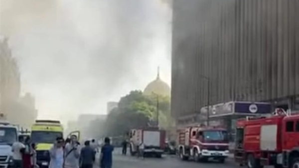 صدى العرب