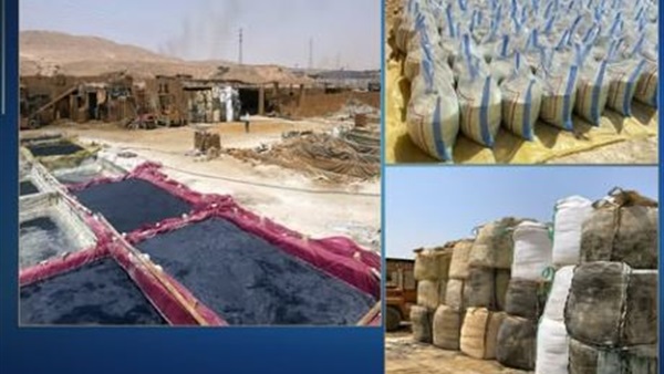 صدى العرب