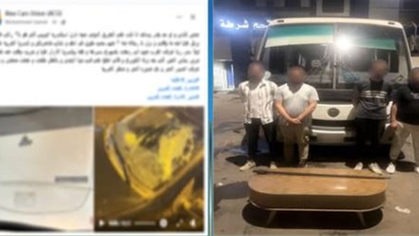 صدى العرب