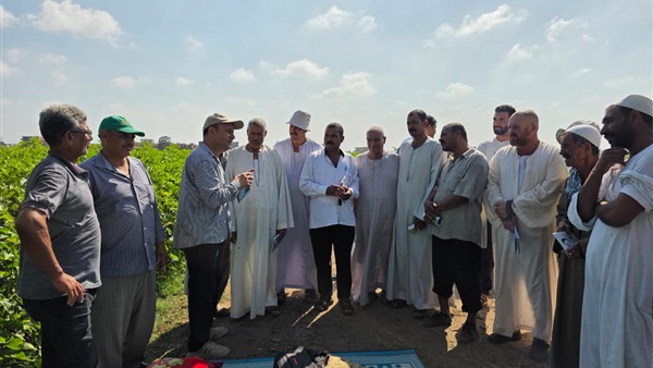 صدى العرب