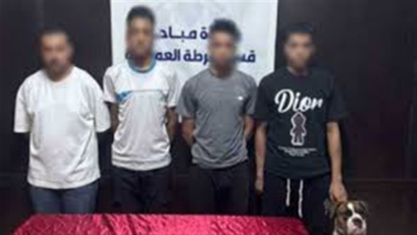 صدى العرب