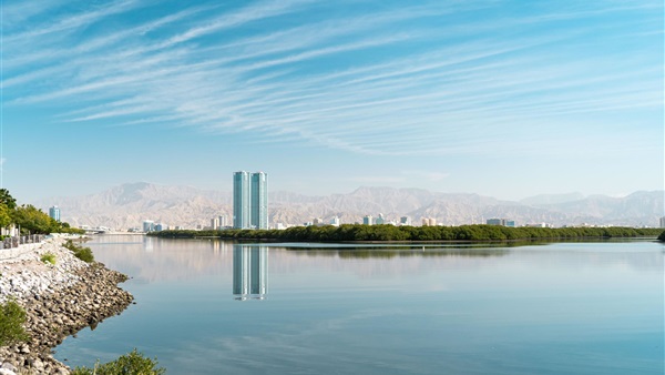 صدى العرب