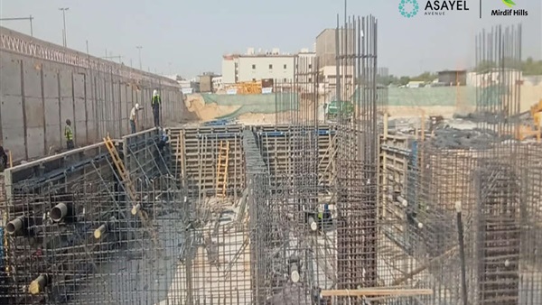 صدى العرب
