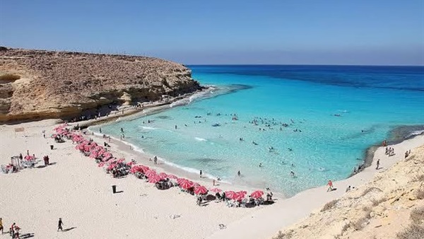 صدى العرب