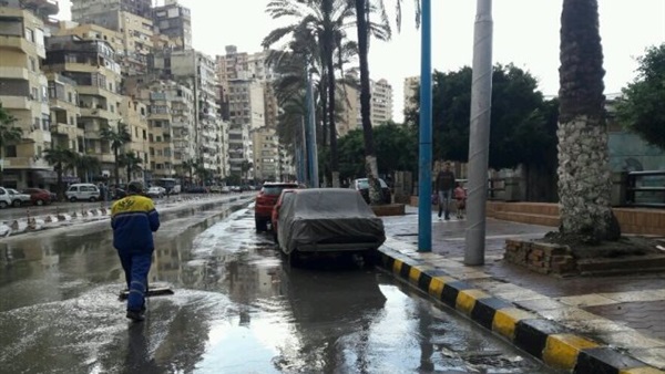 صدى العرب