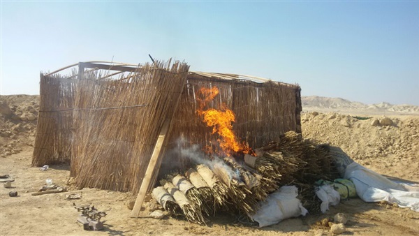 صدى العرب