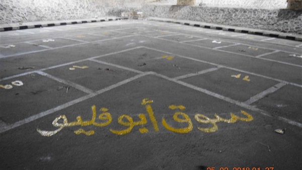 صدى العرب