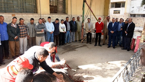صدى العرب