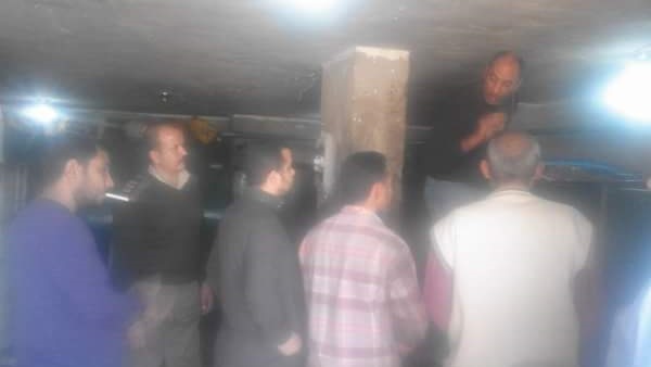 صدى العرب