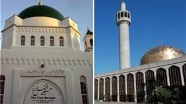 صدى العرب