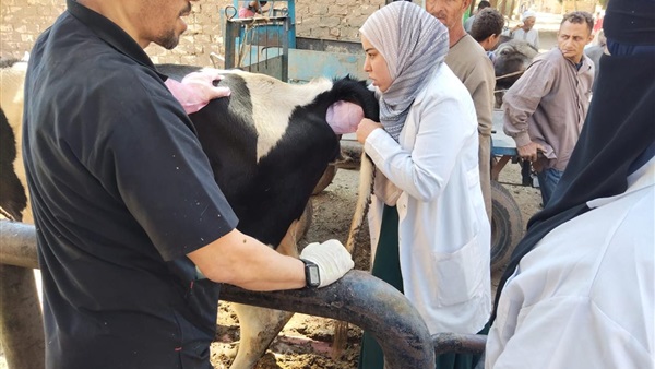 فحص المواشي