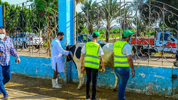 خدمة التقسيط لصكوك