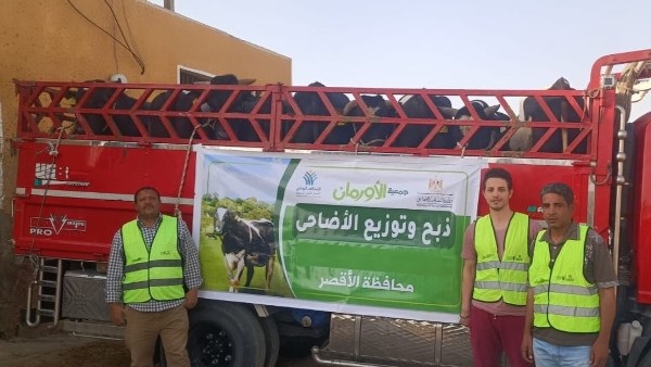 استعدادات الأقصر