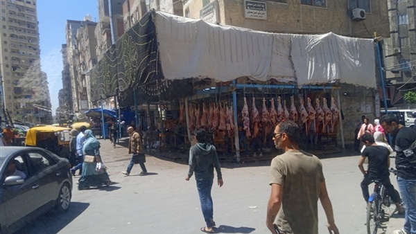 صدى العرب