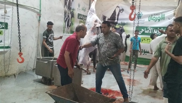 صدى العرب