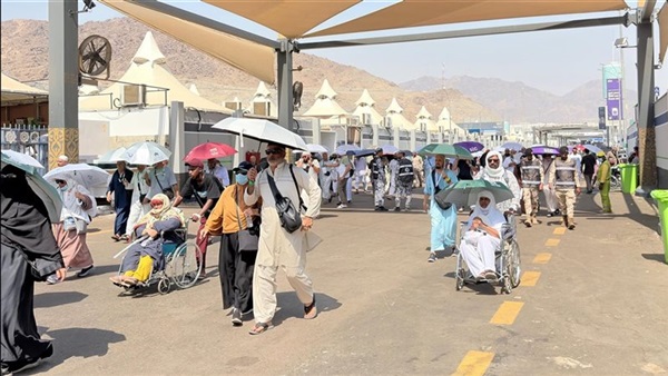 صدى العرب
