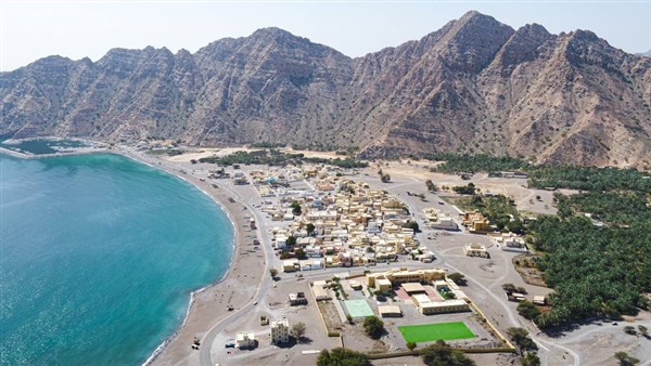صدى العرب