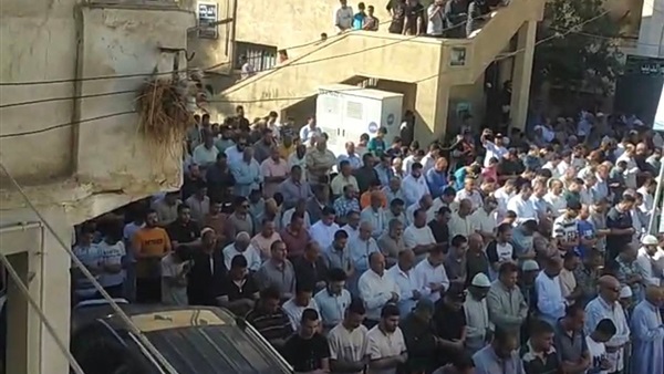 صدى العرب