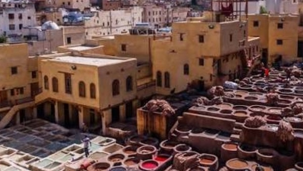 صدى العرب