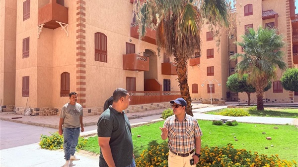 مشروعات التطوير ورفع