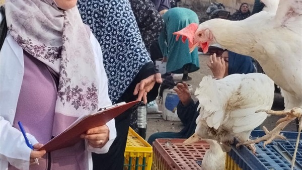 الزراعة