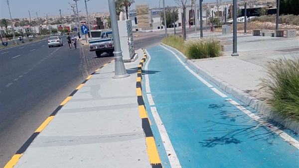 صدى العرب