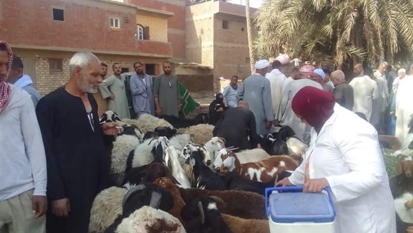 حملة التحصين 