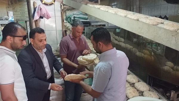مدير تموين الإسكندرية