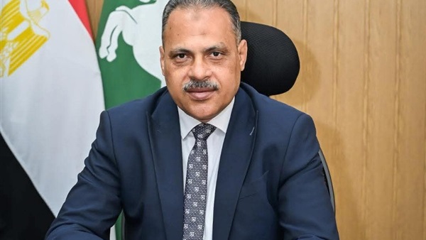 محافظ الشرقية