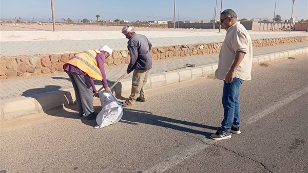صدى العرب