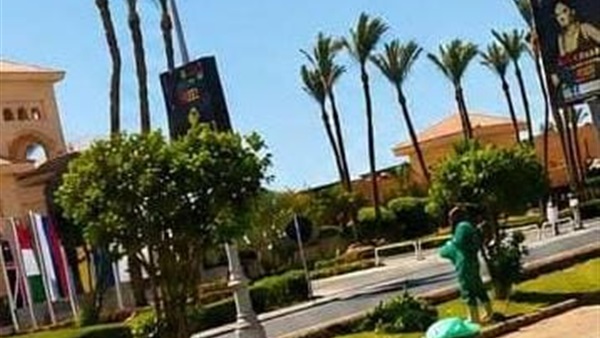 صدى العرب