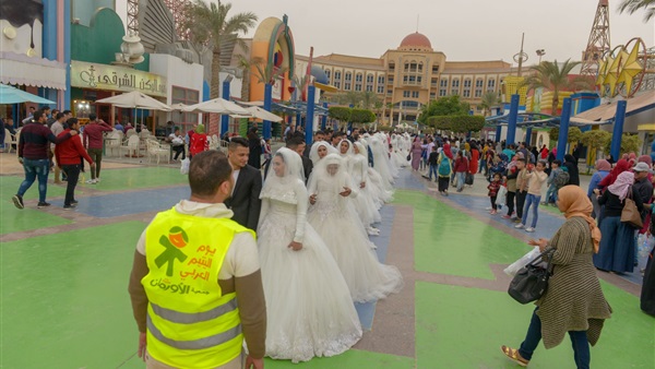 زواج عدد (11) فتاة