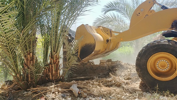 صدى العرب