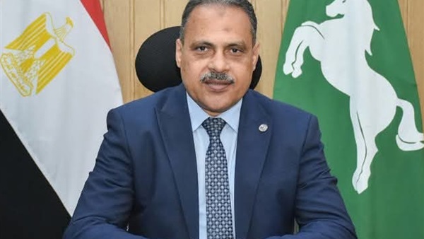 محافظ الشرقية