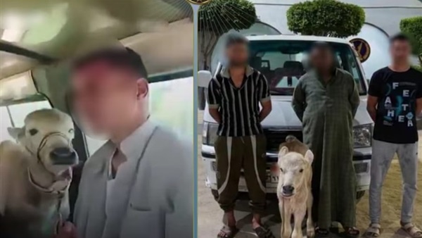 أصحاب الواقعة
