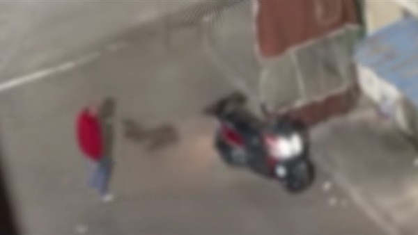 مالك مقهى بالإسكندرية