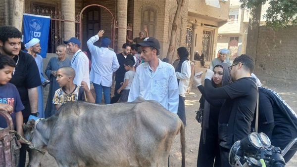 علاج الماشية