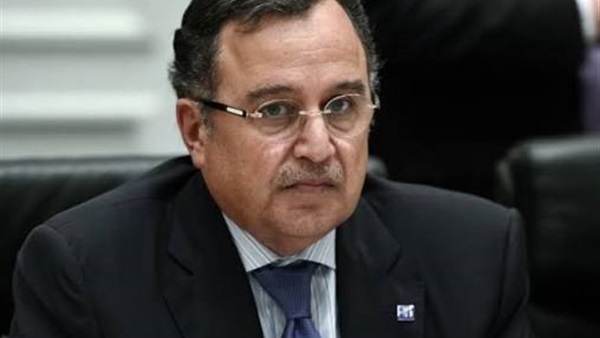 نبيل فهمي