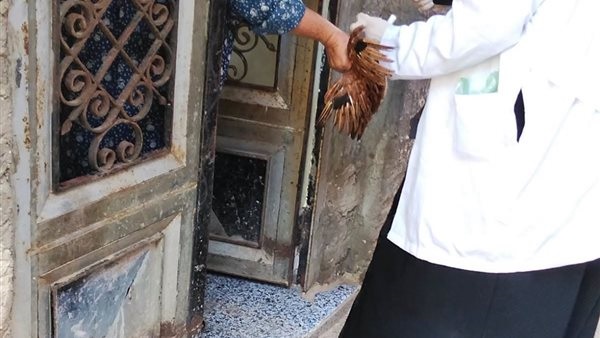 تحصينات